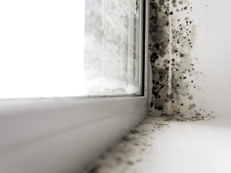 Ventilation positive Indian R contre la condensation